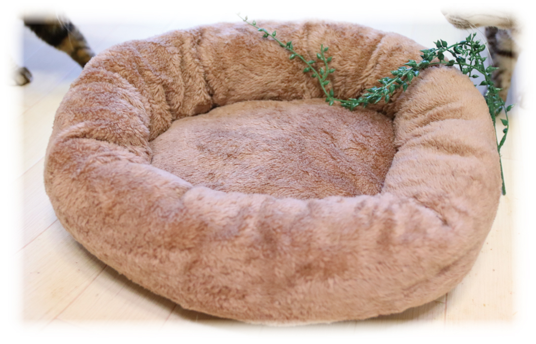 ベット・毛布の汚れ